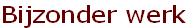 Bijzonder werk